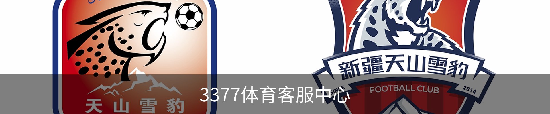 3377体育客服中心