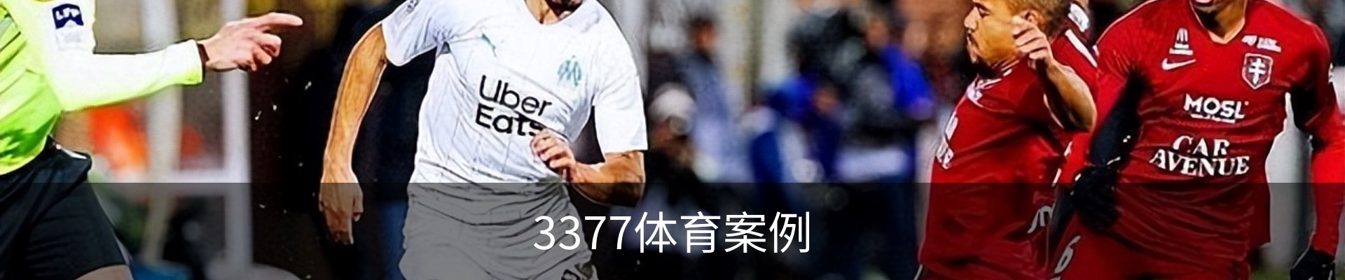 3377体育案例
